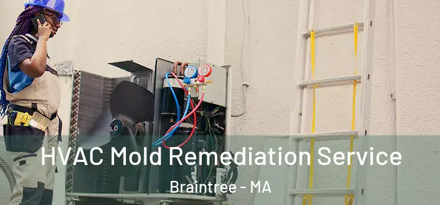  HVAC Mold Remediation Service Braintree - MA