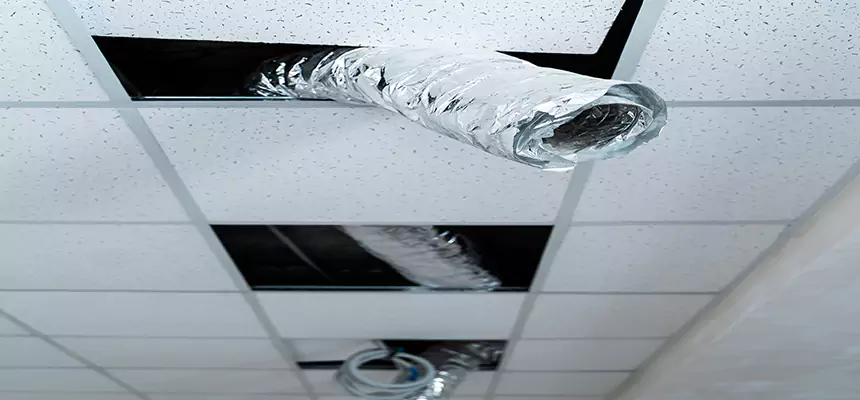 Affordable HVAC Sanitizing After Pest Removal in Braintree