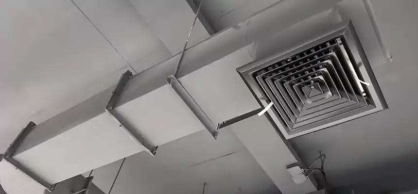 Our Pest Removal From Ducts Services in Braintree, MA