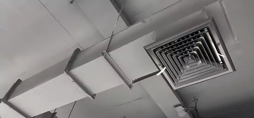 Our Rodent Droppings In Vents Services in Braintree, MA