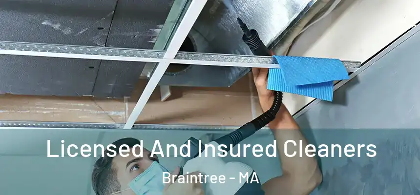 Licensed And Insured Cleaners Braintree - MA