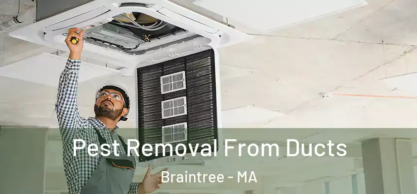 Pest Removal From Ducts Braintree - MA
