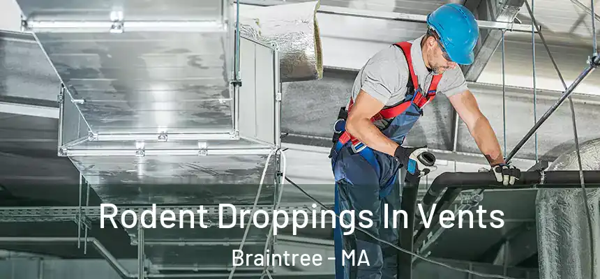  Rodent Droppings In Vents Braintree - MA