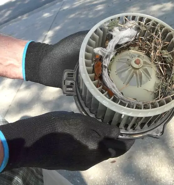 About Air Duct Rat Removal in Braintree, MA