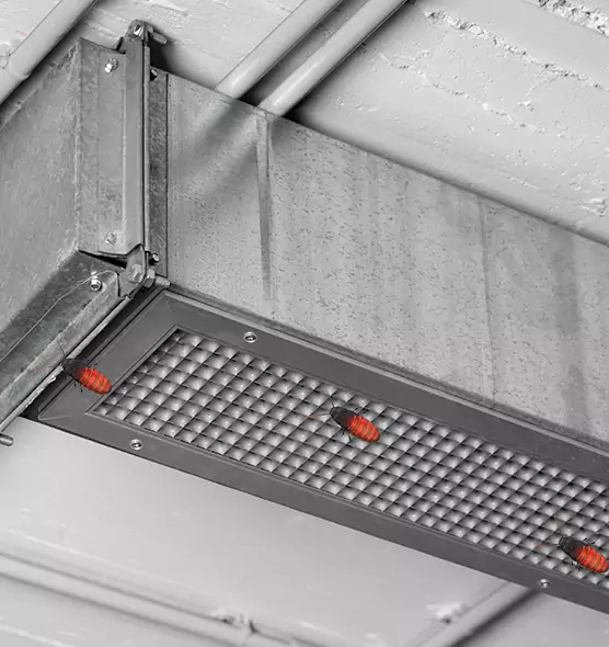 Affordable Insect Removal from Air Ducts in Braintree, MA