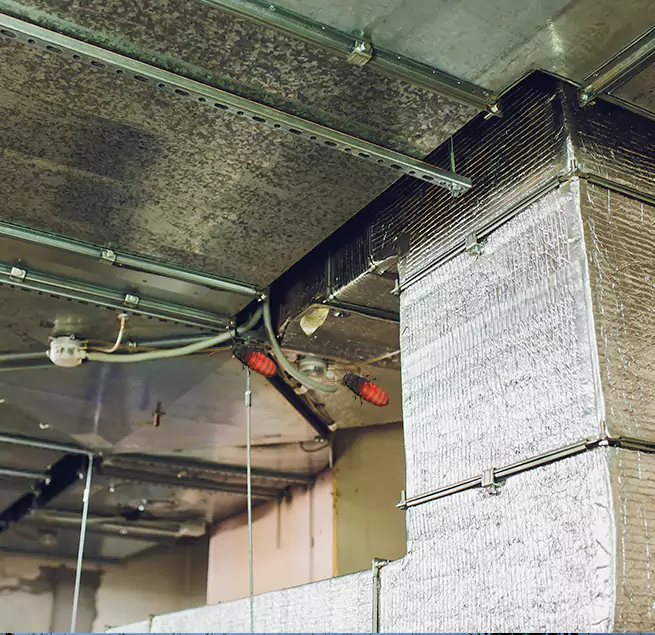 Why Homeowners & Businesses Trust Us in Braintree, MA?