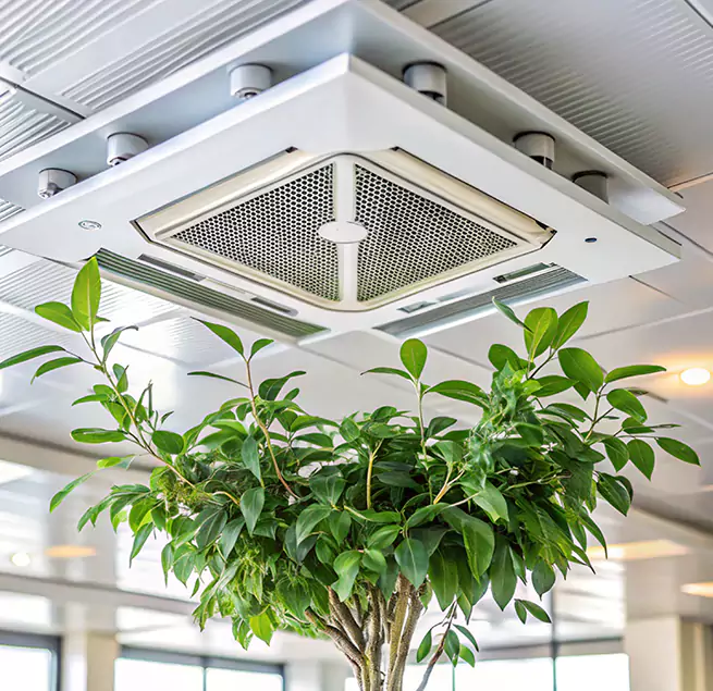 Why Homeowners & Businesses Trust Us in Braintree, MA?