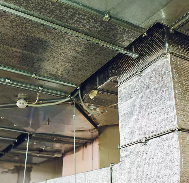 Why Homeowners & Businesses Trust Us in Braintree, MA?